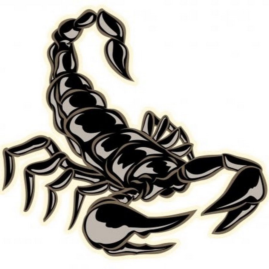 Скорпион знак воды