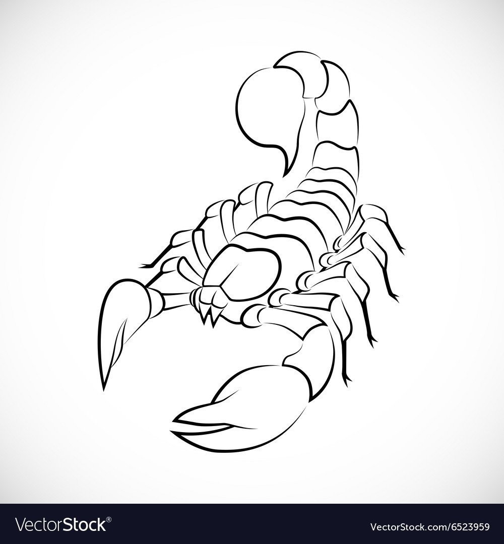 Скорпион контурный рисунок