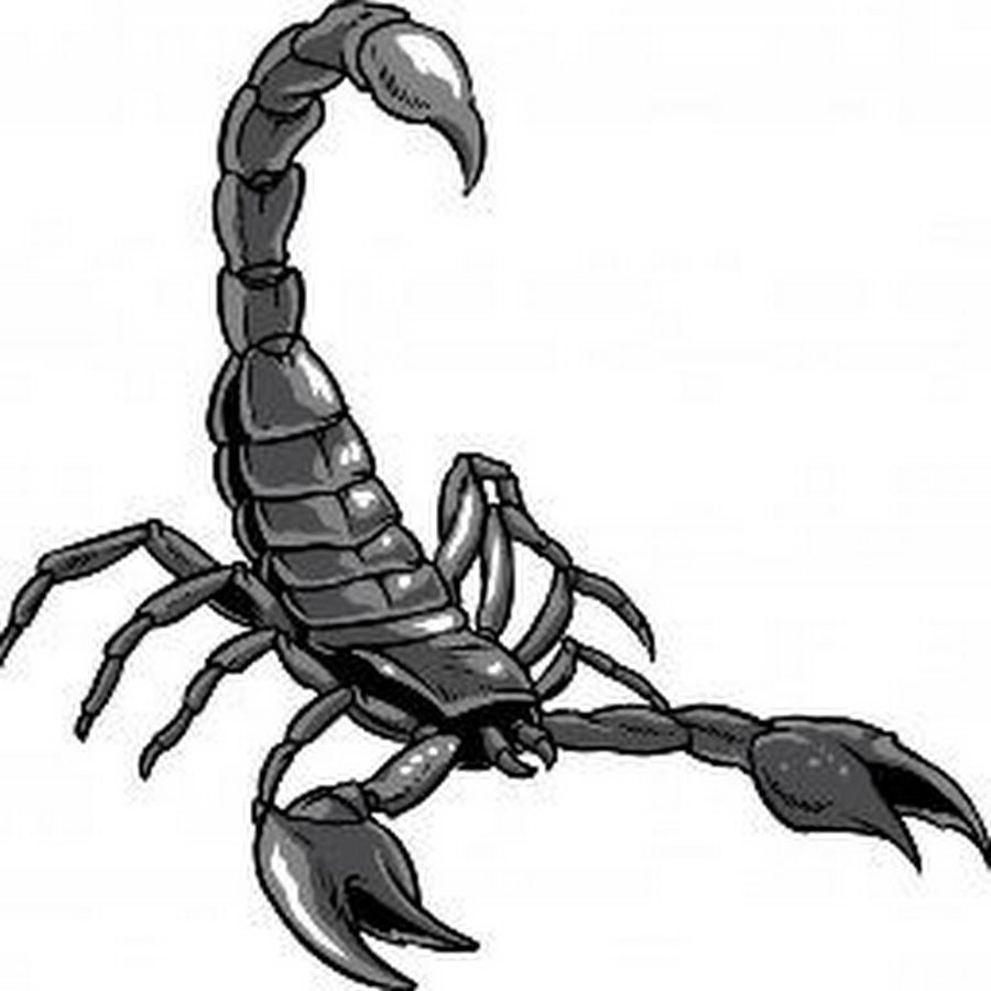 Клешни скорпиона