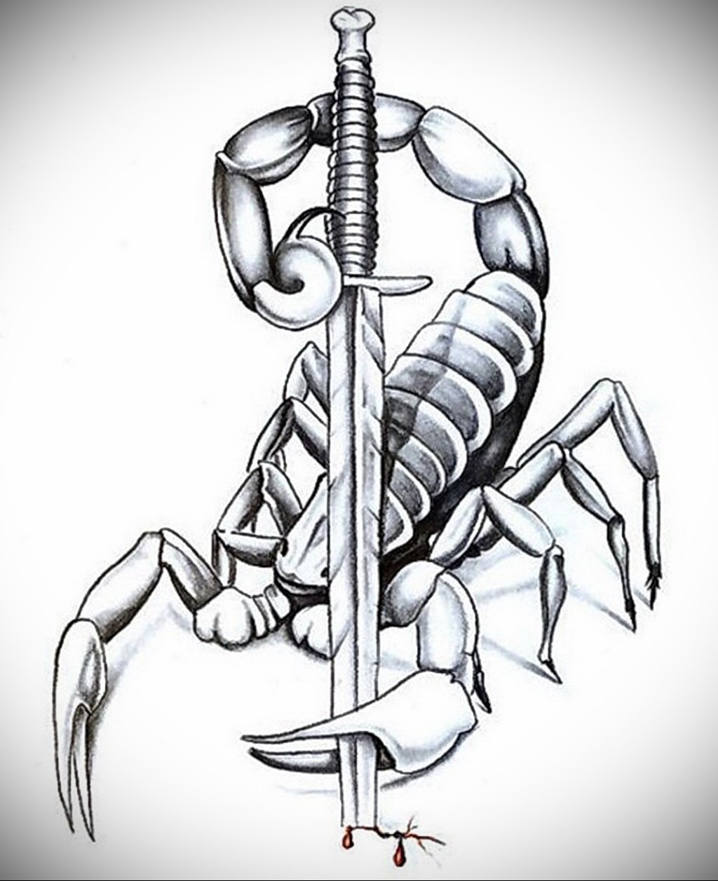 Картинка скорпиона рисунок