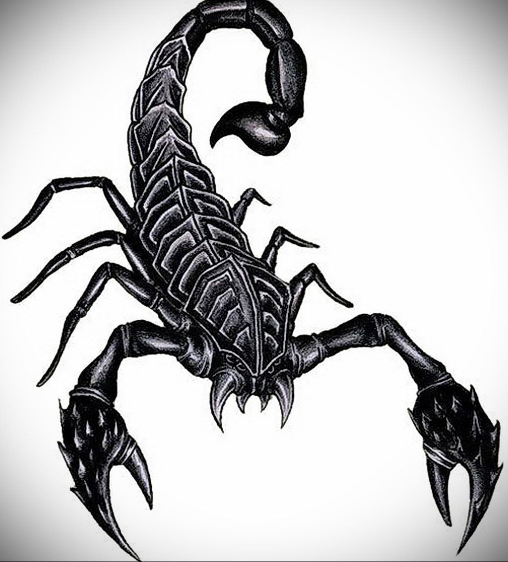 Скорпион трафарет