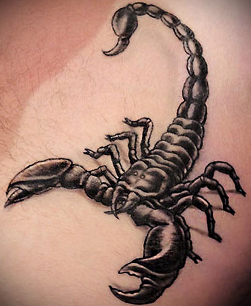 Скорпион тату эскиз
