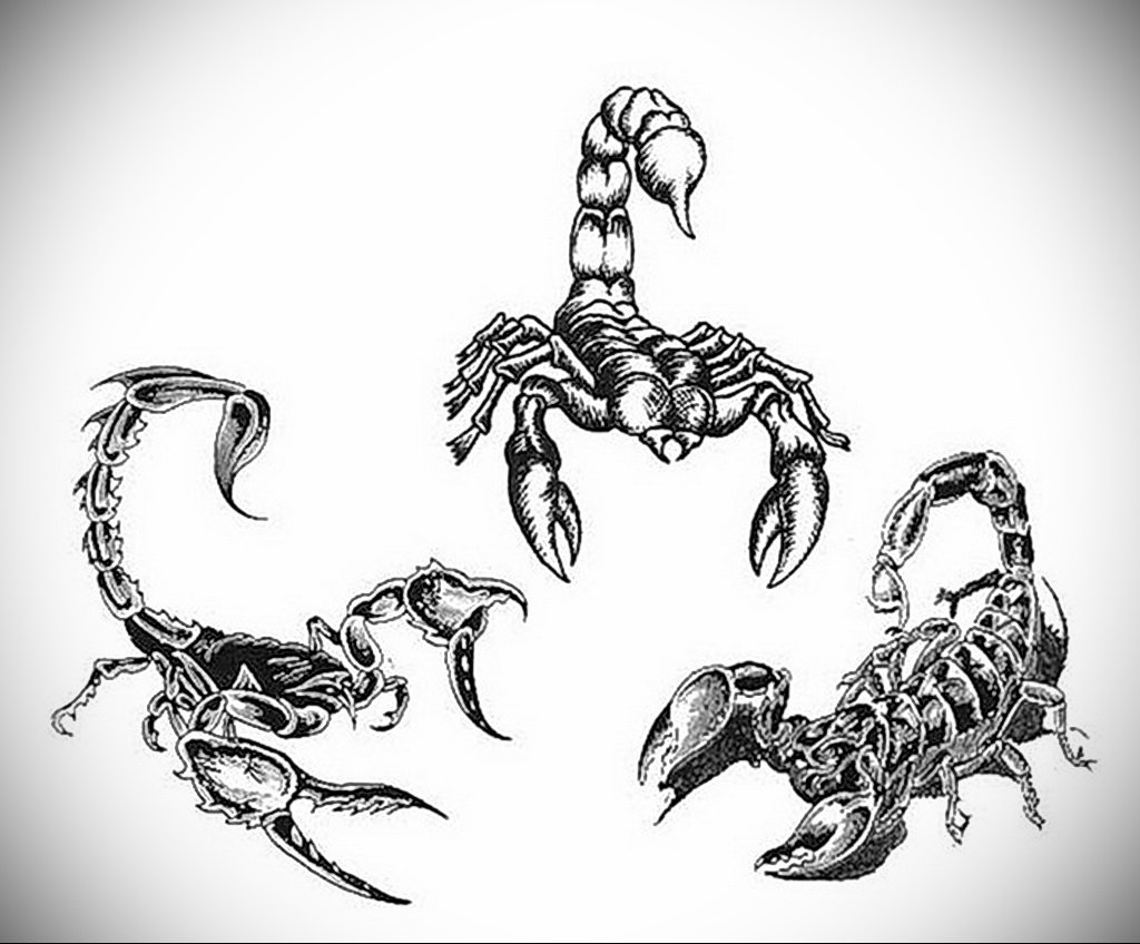 Скорпион трайбл