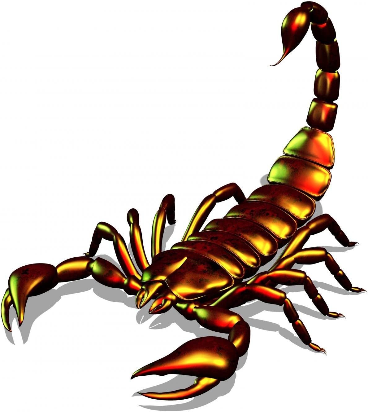 Белый Скорпион