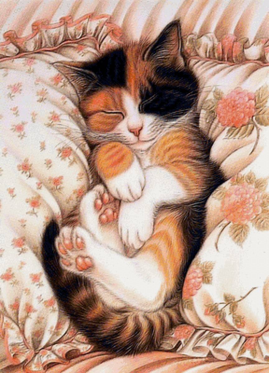 Котенок спит