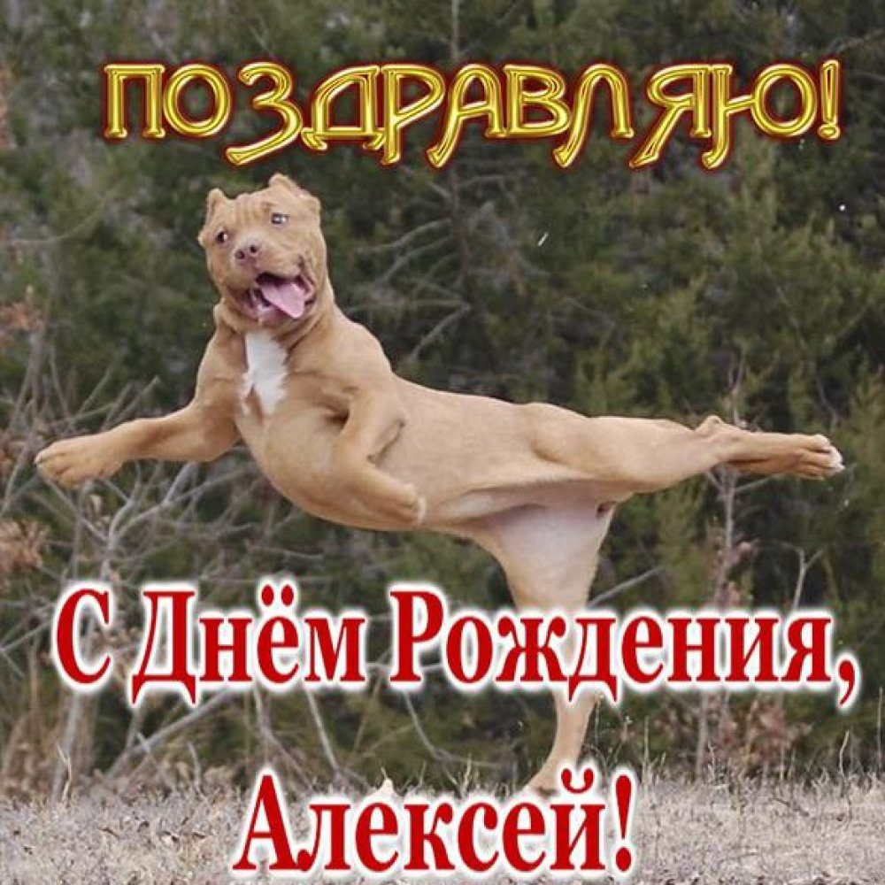 С днеммрождения Алексей