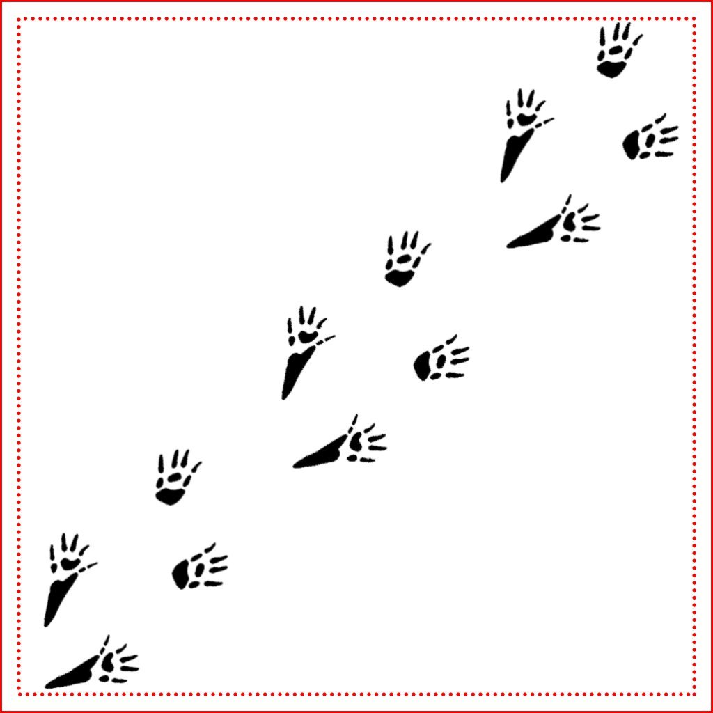 Следы маленьких животных на снегу