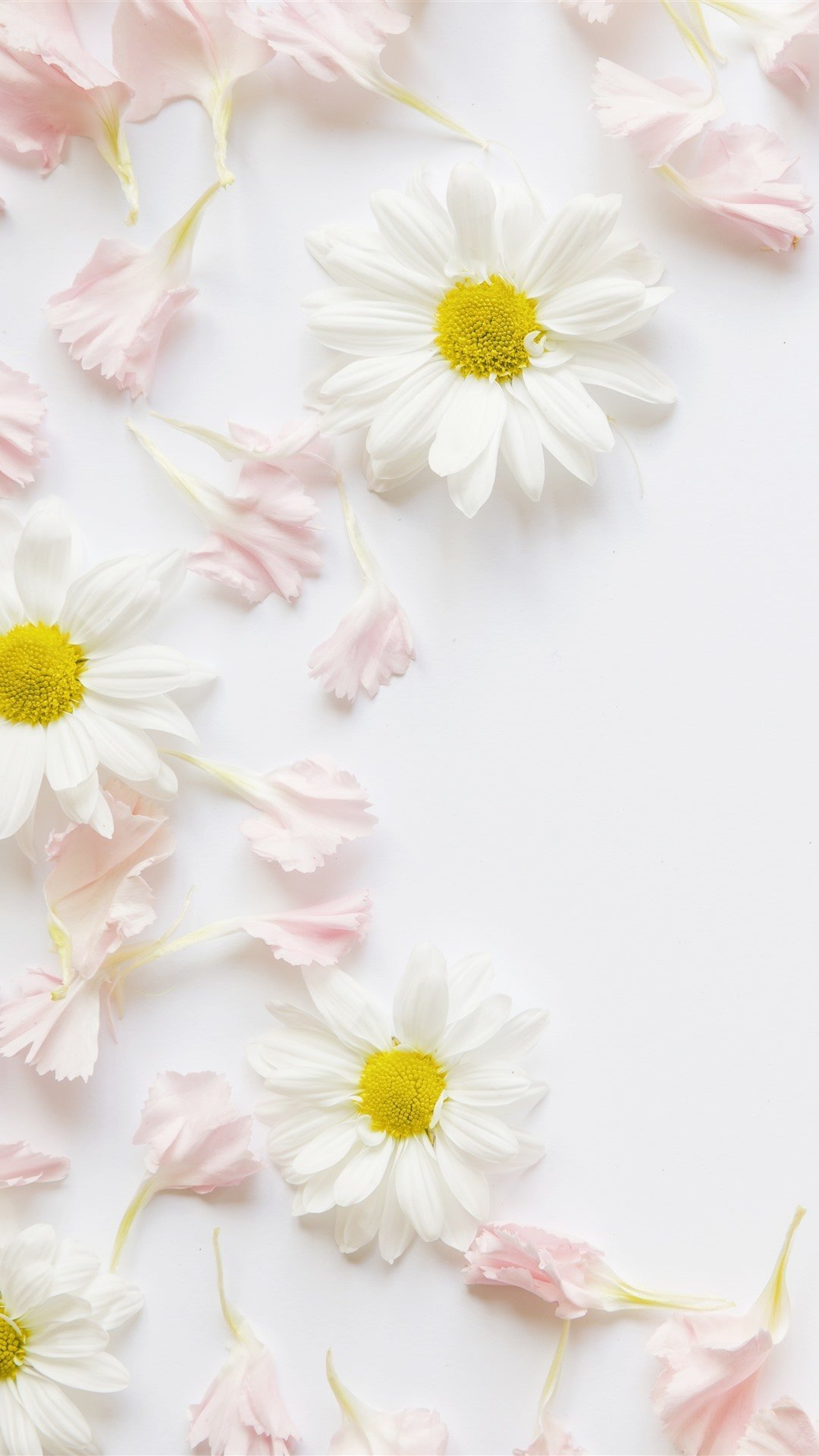 Красивый весенний фон