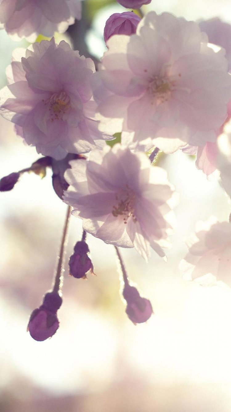 Красивый фон для рабочего стола