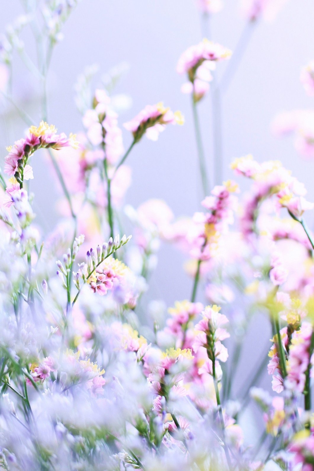 Необычные обои на телефон