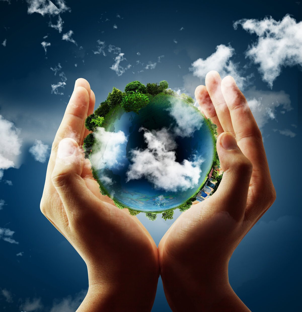 Экология земли