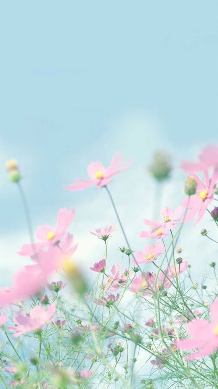 Природа в светлых тонах