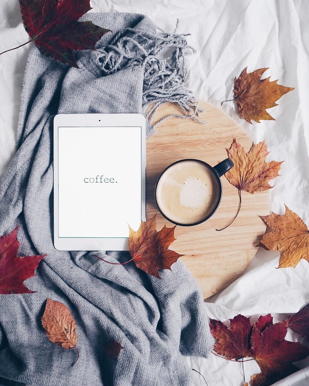 Хорошего дня зима