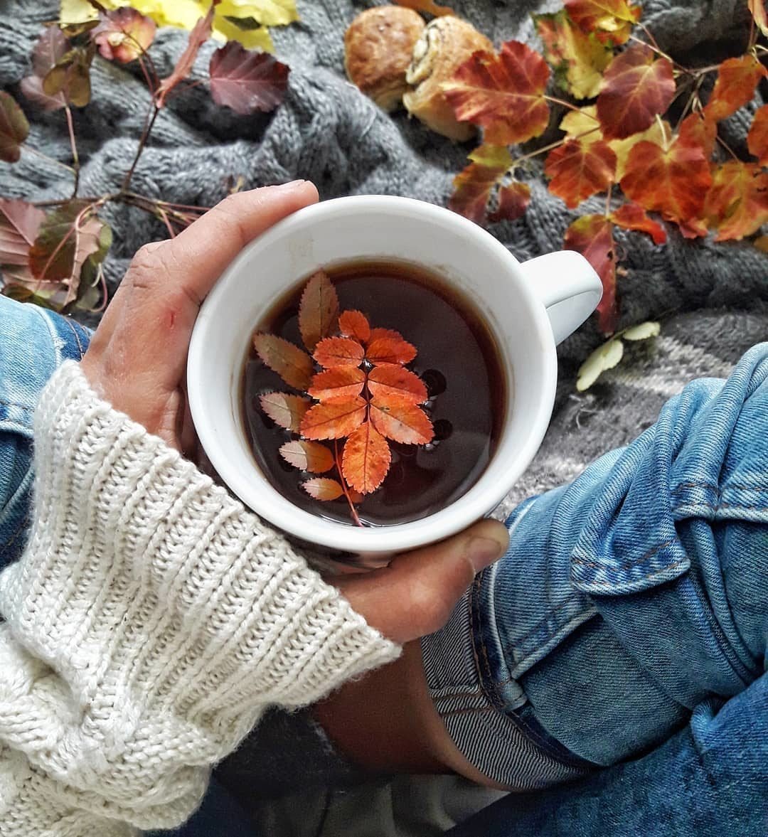 Завтрак в Альпах