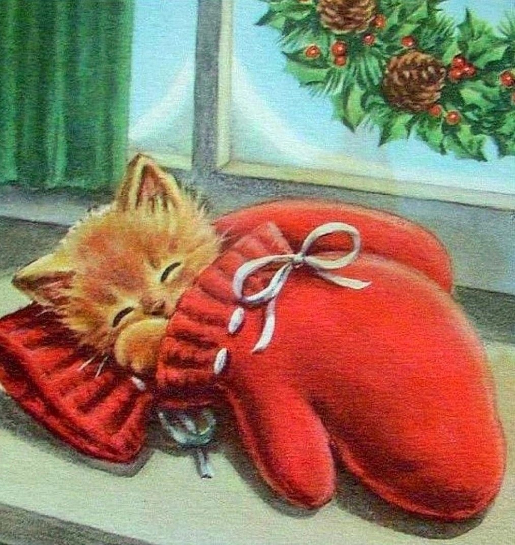 Кот в варежках