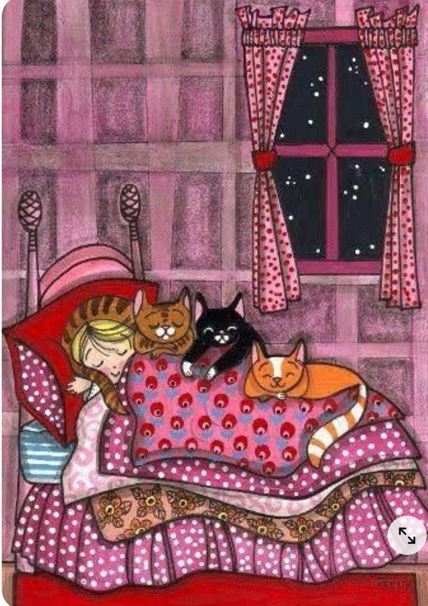 Спокойной ночи с кошками