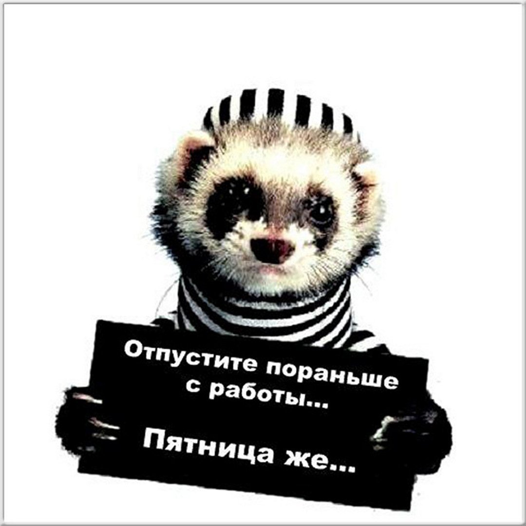 Отпустите пораньше с работы