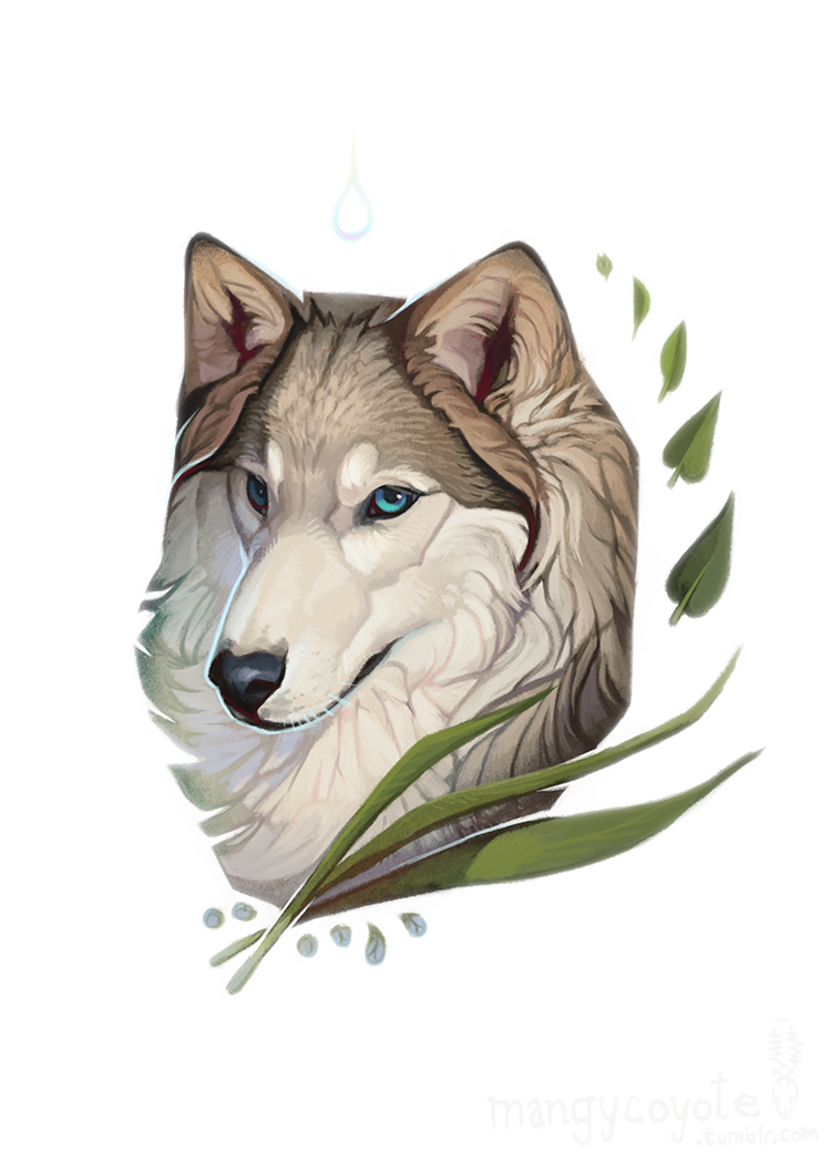 Волк рисунок