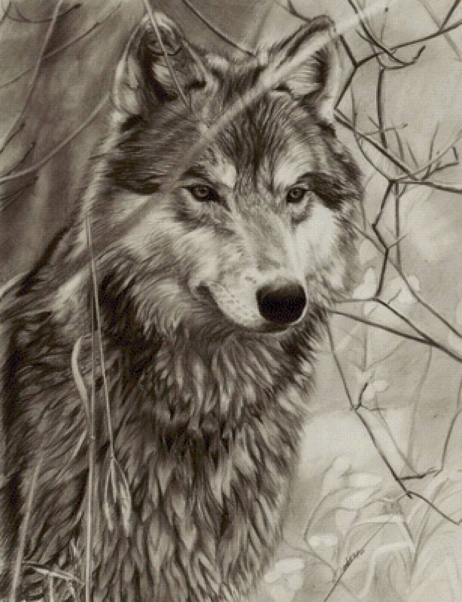 Рисунок для срисовки на половину легко