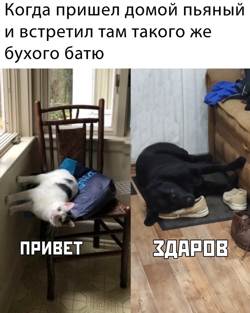 Когда придешь домой