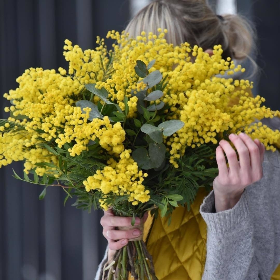 Букет мимозы в руках