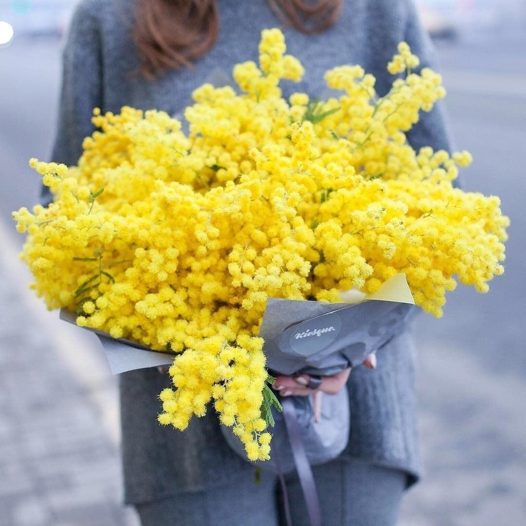 Весны с ароматом мимозы