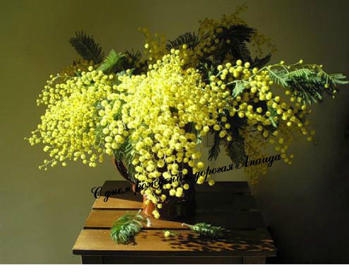 Мимоза в Мексике