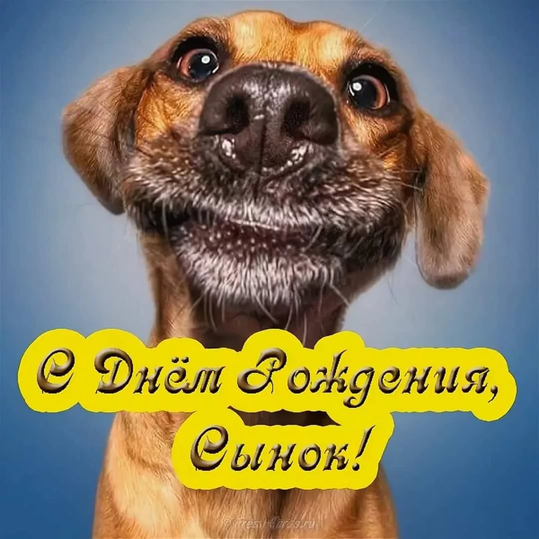 Поздравления с днём рождения сыгу