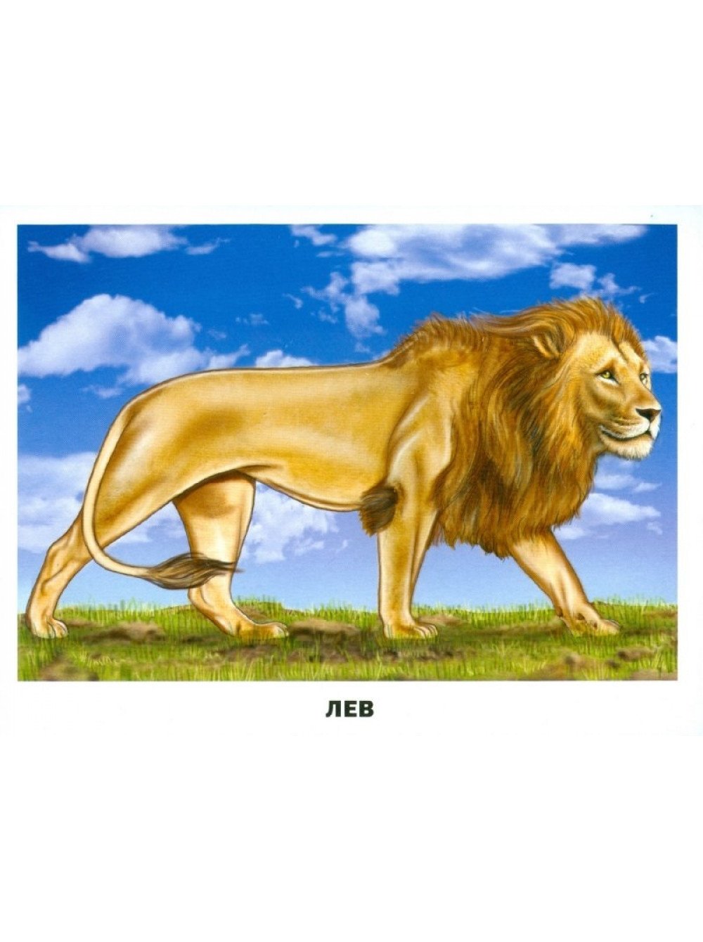 Фигурки Safari Ltd глубоководные существа 688104