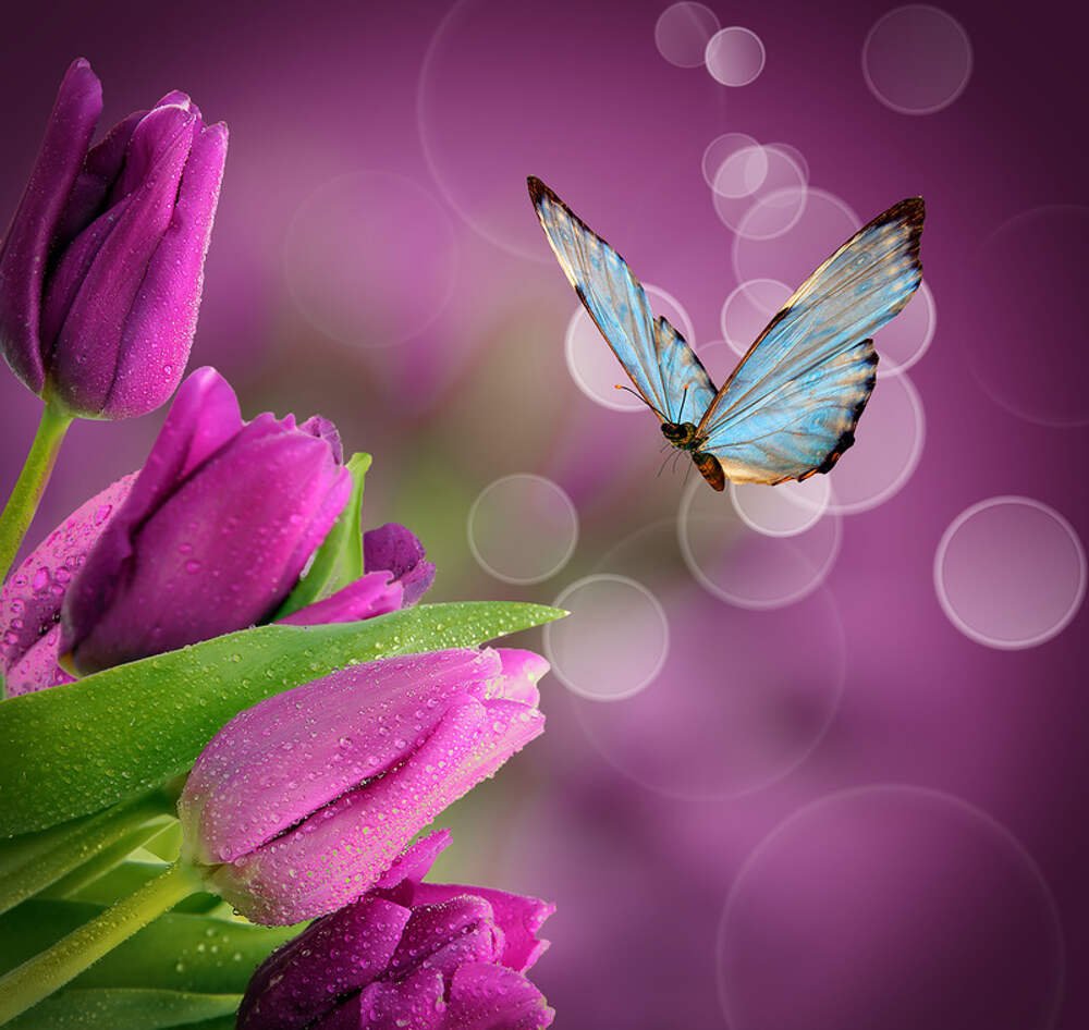 С днём рождения Марина