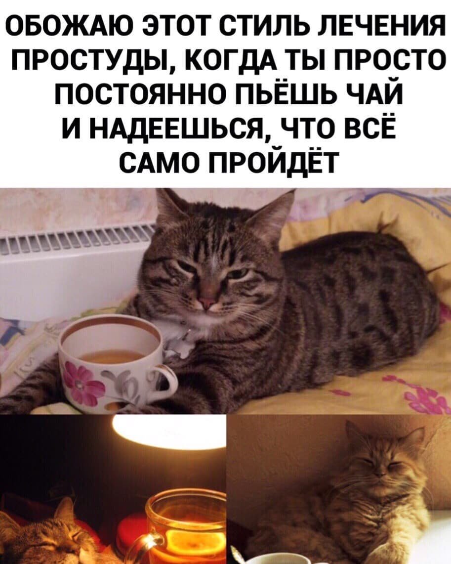 Статус про простуду