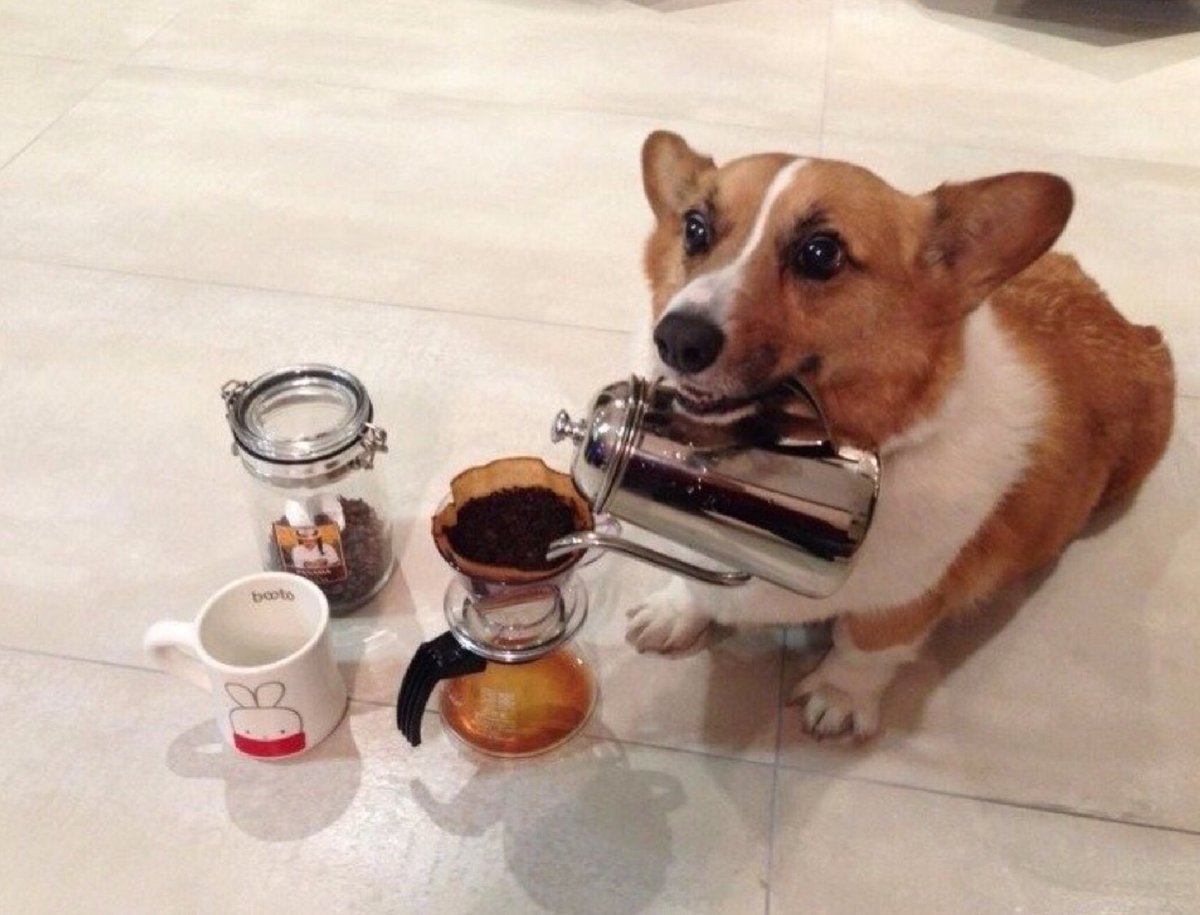 С пятницей друзья доброе утро