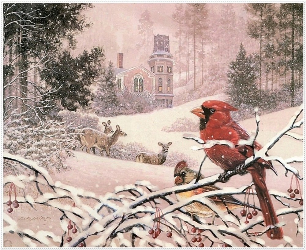 Художник Douglas r. Laird Рождество