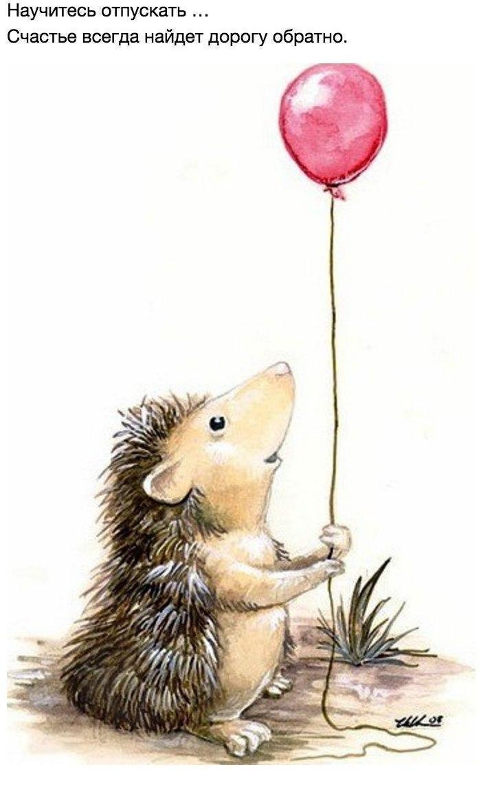 Открытки с ежиками