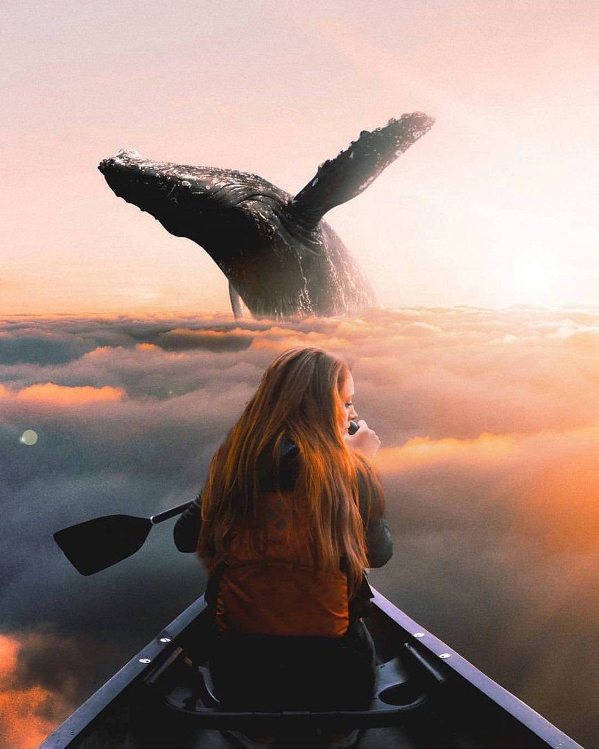 Киты в небесах