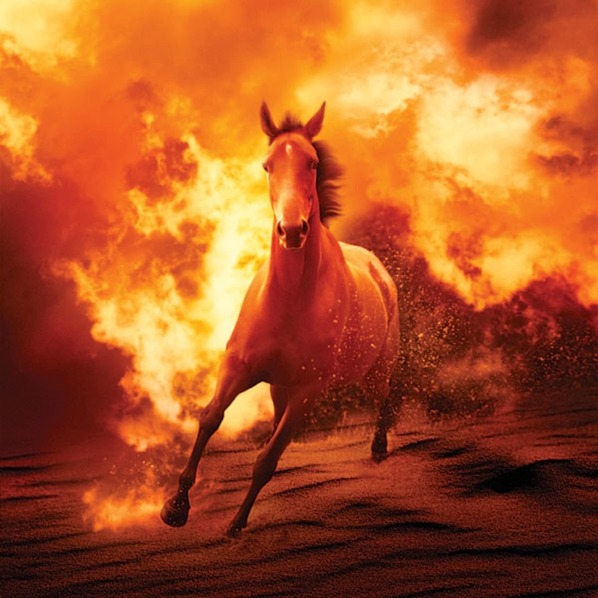 Горящие избы бегущие кони