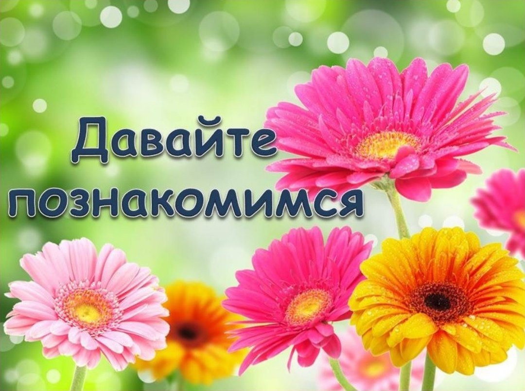 Давайте познакомимимс