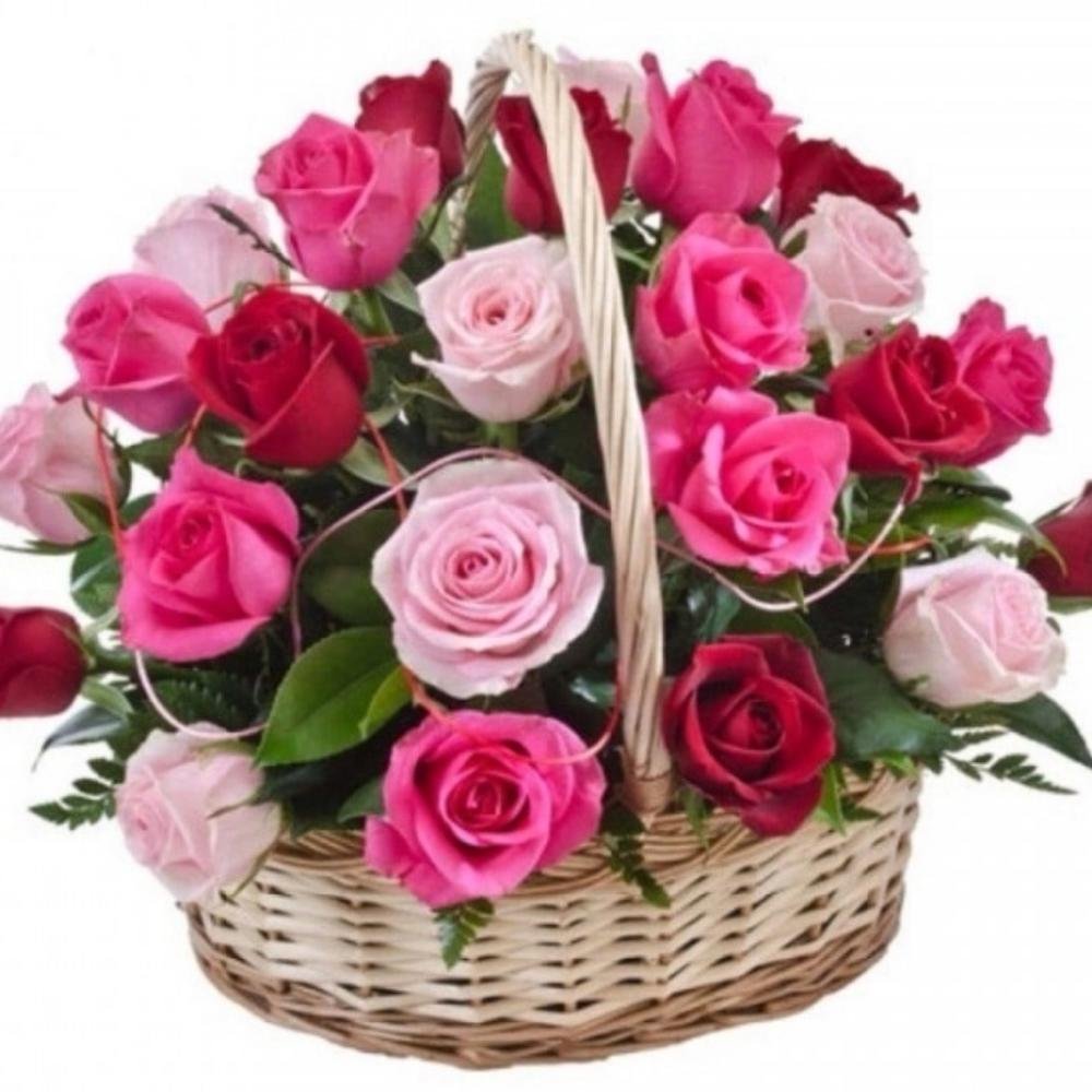 Счастья радости здоровья