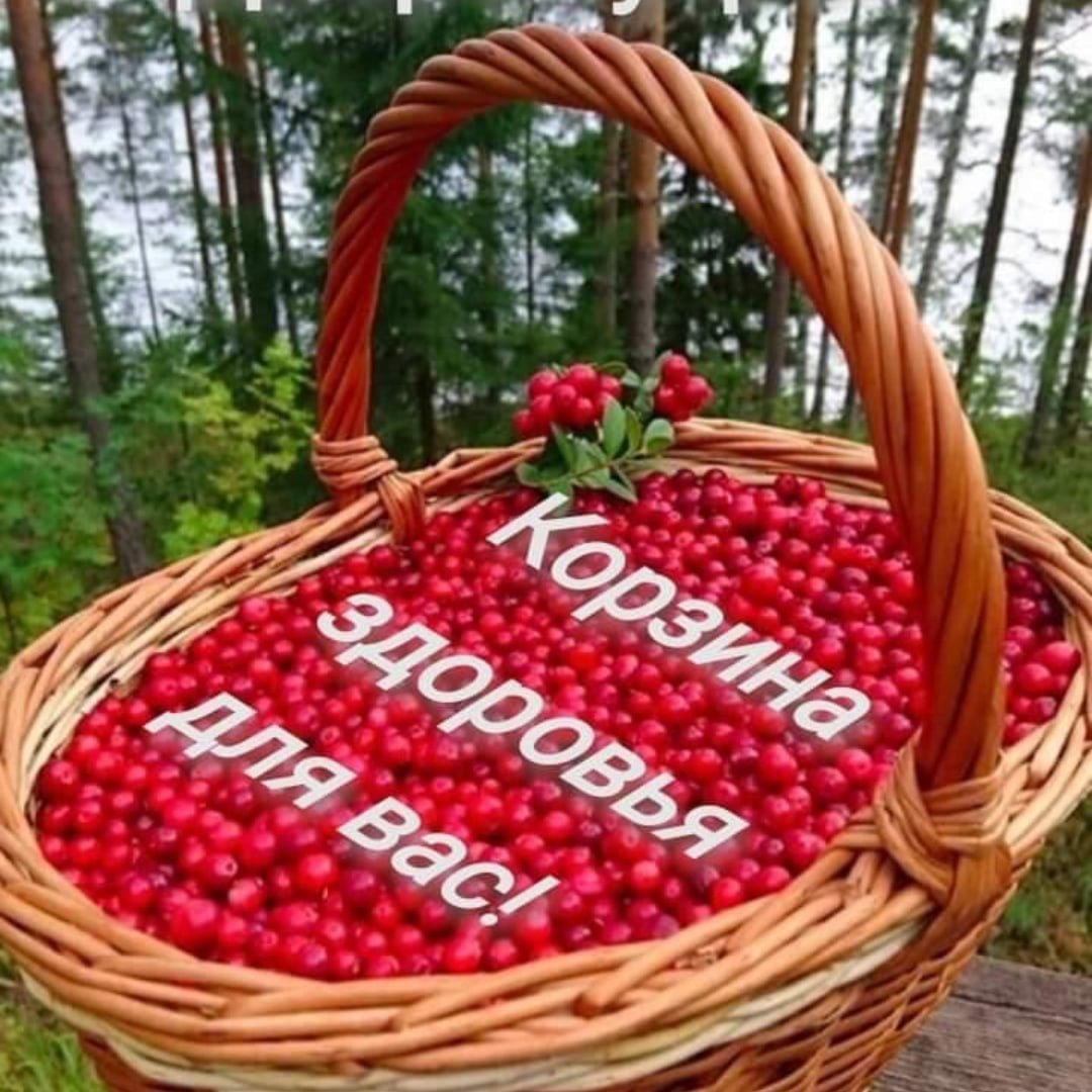 Открытки с добрым утром летние