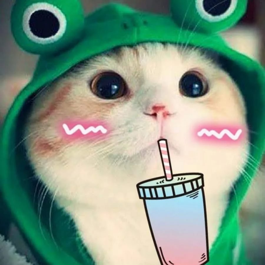 Котик в костюме лягушечки