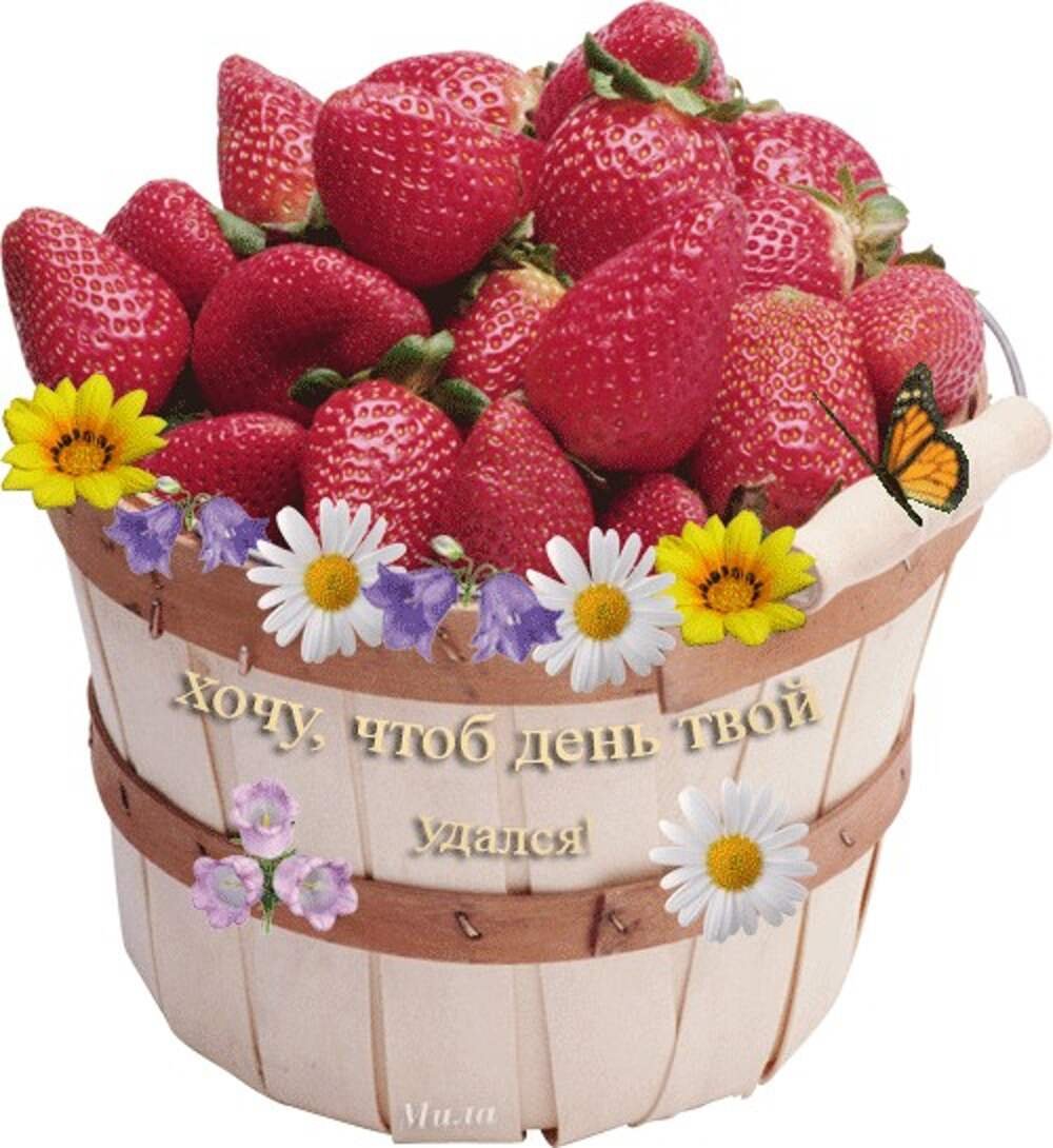 Прекрасного летнего настроения и удачи