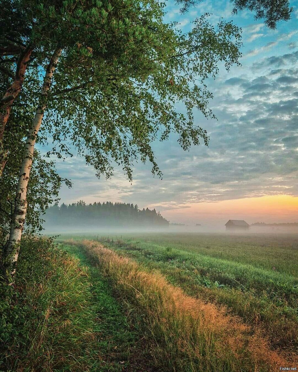 Пейзаж лето