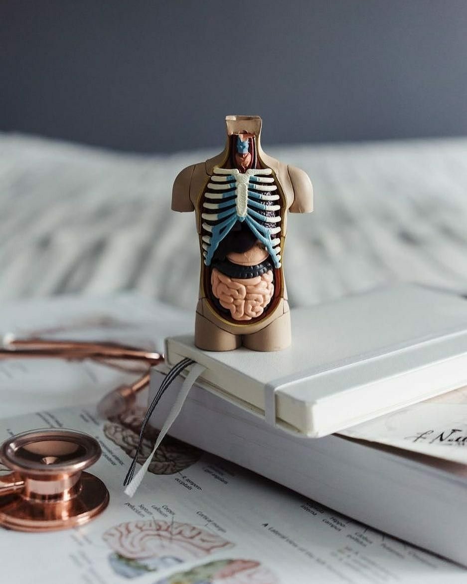 Профессия медик Эстетика