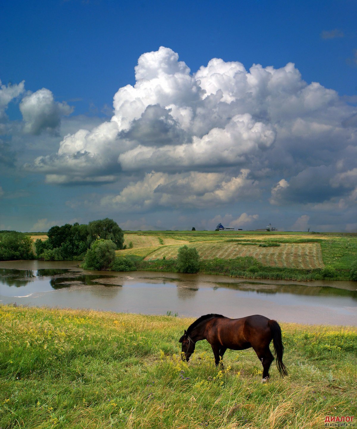 Родные просторы природа родного села