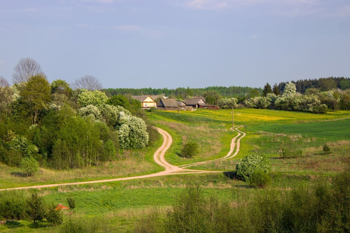 Родной край Курск