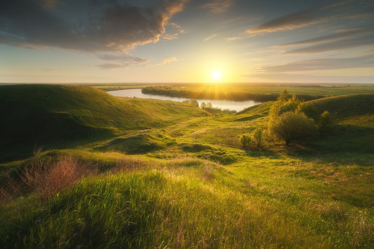 Перевицкий Торжок Луховицкий