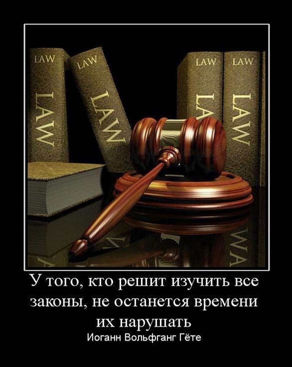 Высказывания про юристов прикольные