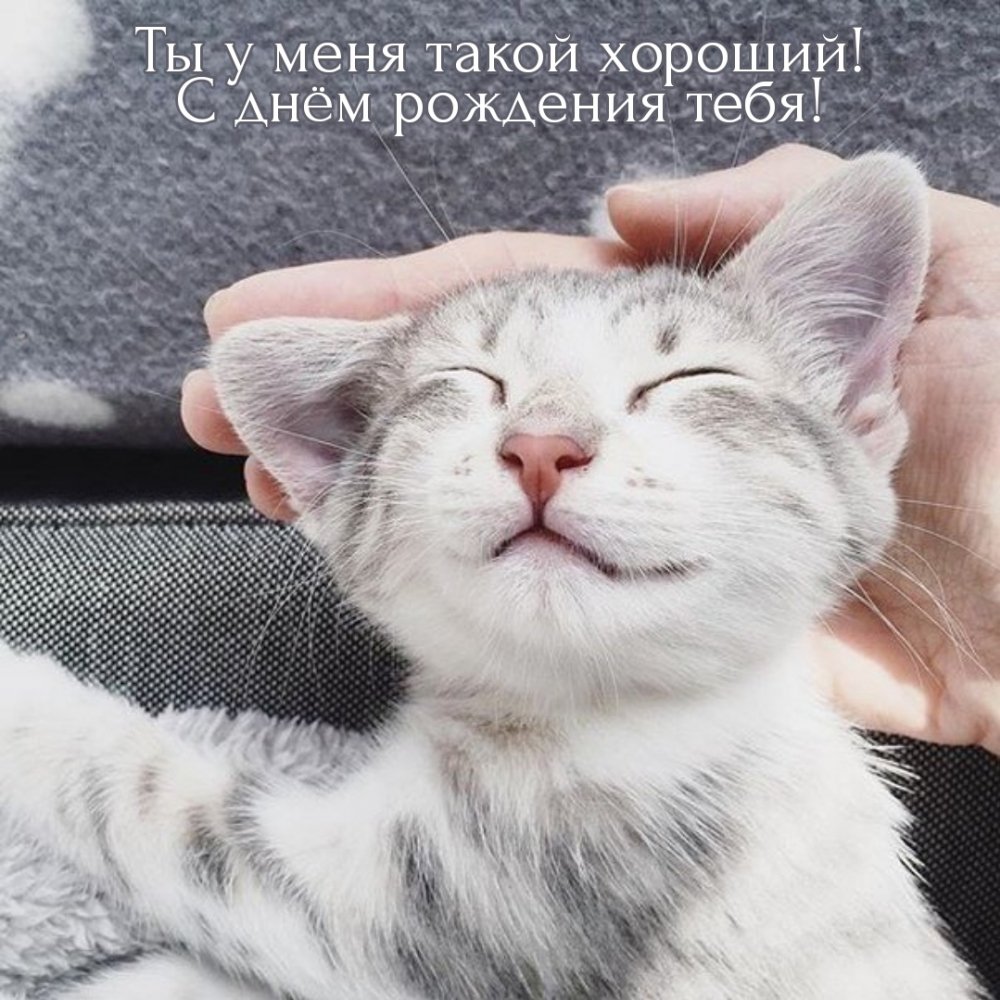 Доброе утро и потягушеньки