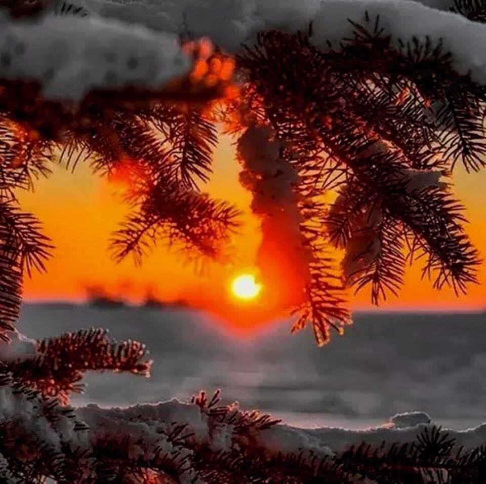 Новогоднее утро