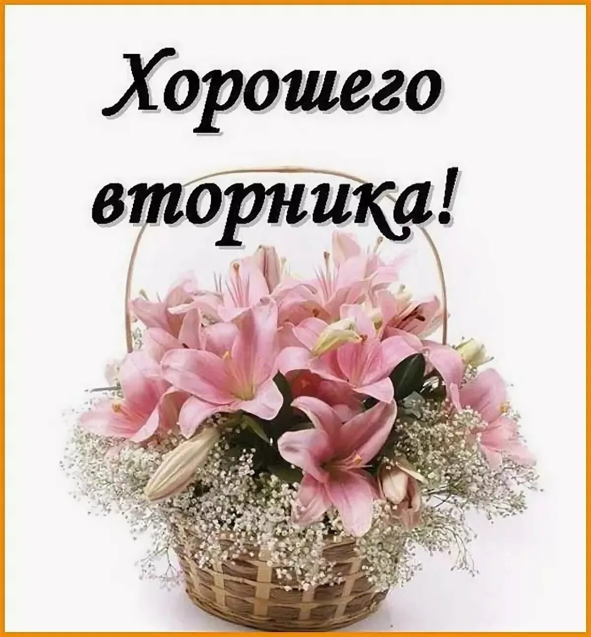 Хорошего вторника